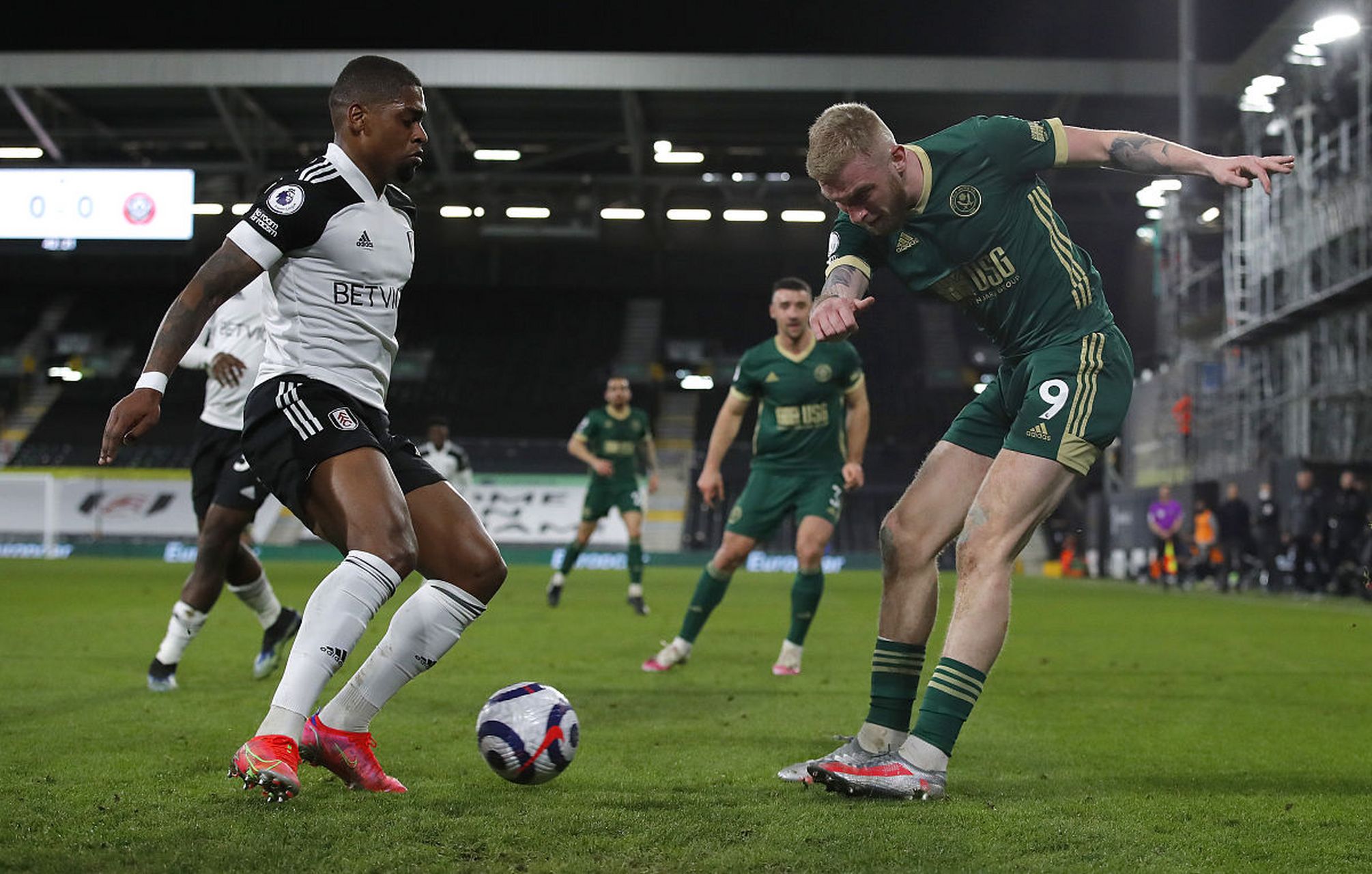 这一平台的 这一平台的